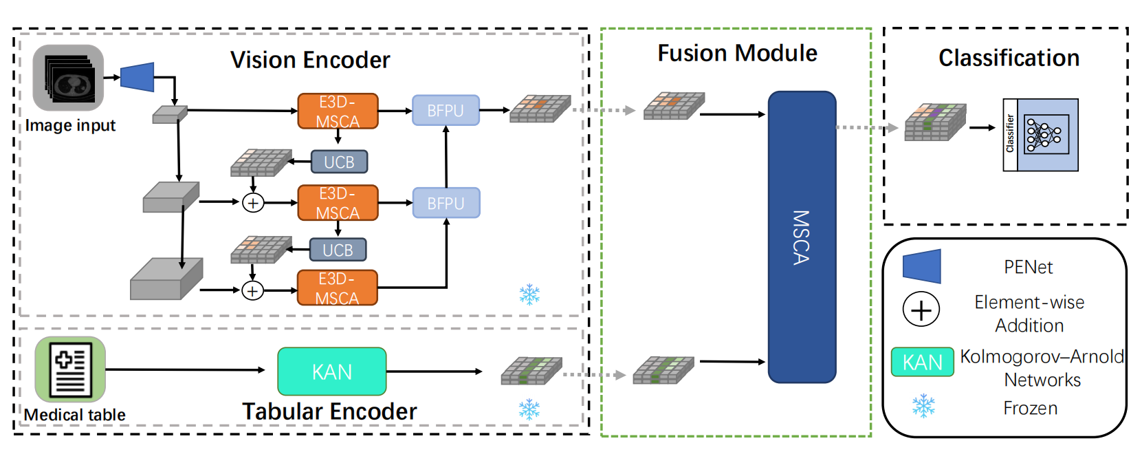 Small Lesions-aware Bidirectional Multimodal Multiscale Fusion Network for Lung Disease Classification